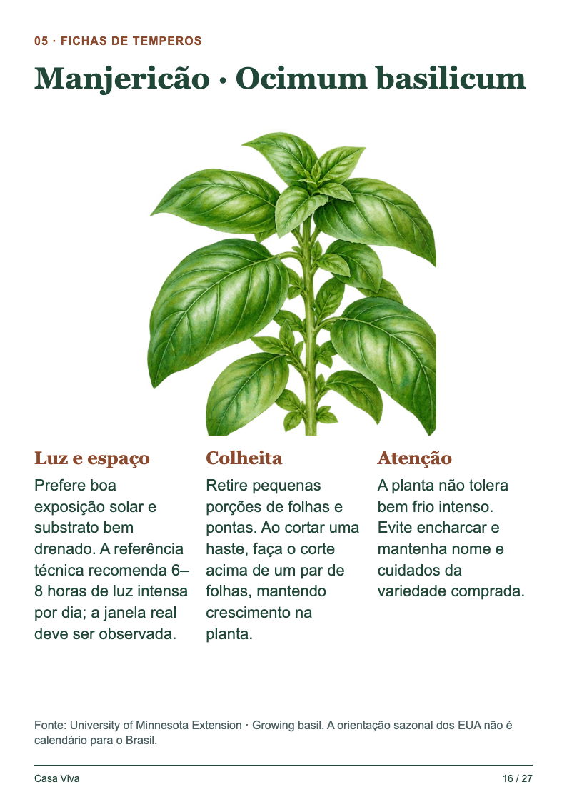 Página 16: Manjericão · Ocimum basilicum
